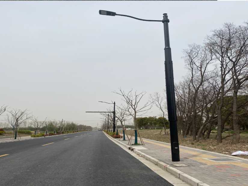 城阳区上海综合杆 太阳能路灯工程